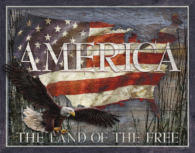 TSN2159 Affiche Metallique  America Land of Free
