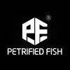 Petrified Fish