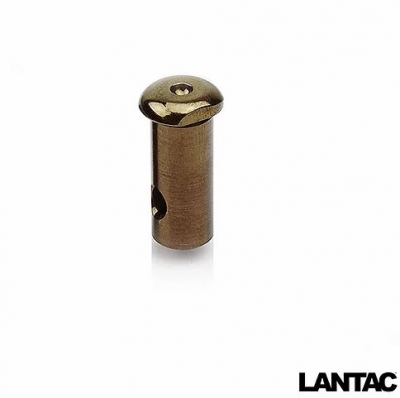 01-UP-556-CP - Lantac Cam Pin