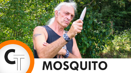 Découvrez le Mosquito !